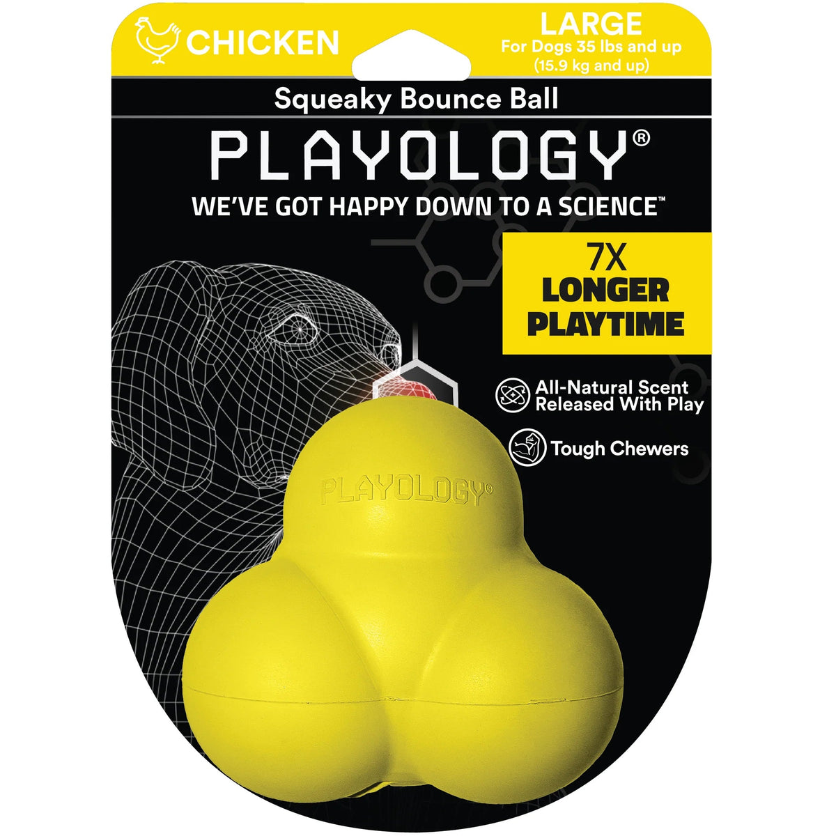 Playology Squeaky Bounce Ball Dog Toy Washington, PA
