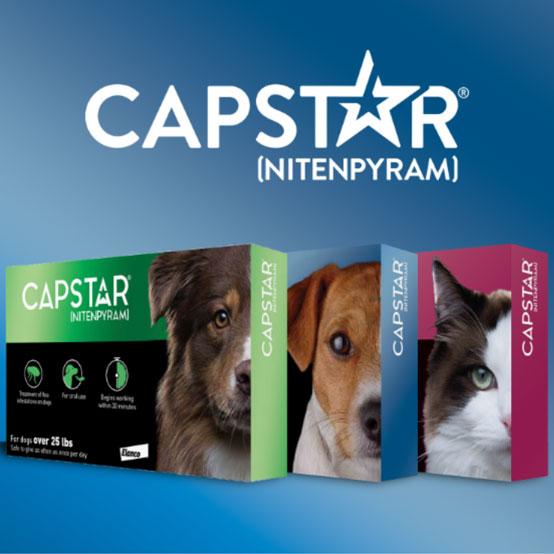 Capstar for Dogs & Cats Washington, PA WV White Hall