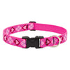 Lupine Pet Original Designs Dog Collar