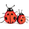 Fab Dog Ladybug Faball