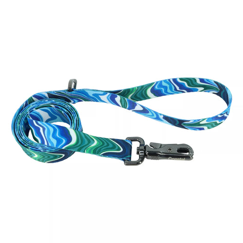 Coastal Pet Inspire Fashion Dog Leash