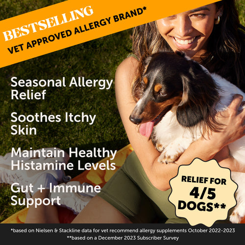 Pet Honesty Allergy Support Supplement Peanut Butter Flavor for Dogs