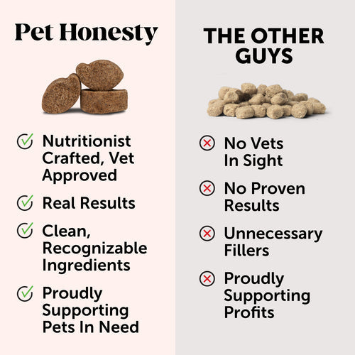Pet Honesty Probiotics Gut + Immune Health Pumpkin Flavor for Dogs