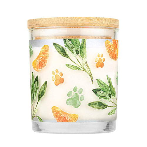 One Fur All Pet House Mandarin Sage Natural Soy Candle (9 oz)