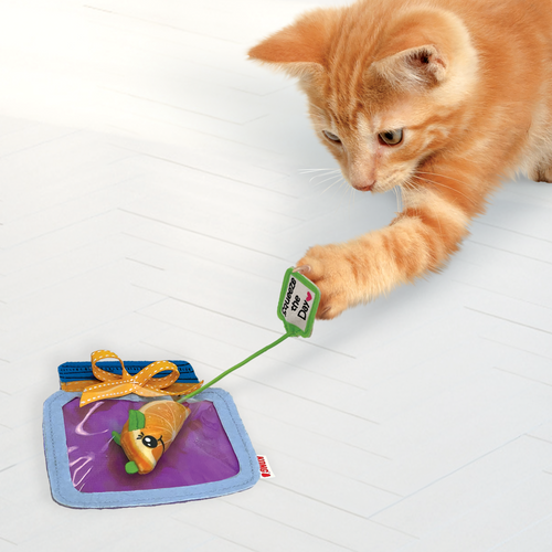 KONG Pull-a-Partz Jamz Assorted Cat Toy (One Size)