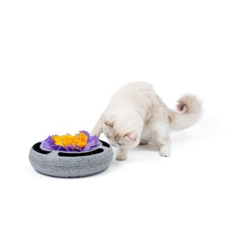 Injoya Cat Puzzle Toy Grey