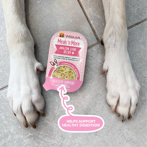 Weruva Meals 'n More Amazon Livin' Recipe Plus Dog Food
