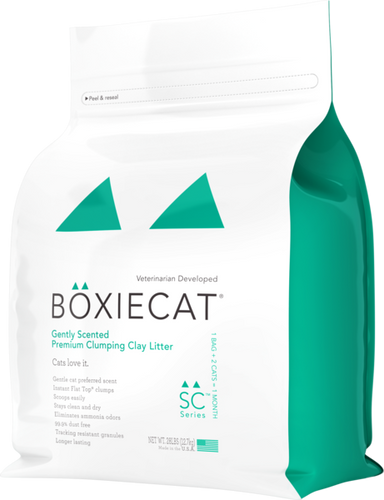 Boxiecat Gently Scented Premium Clumping Clay Cat Litter (16-lb)