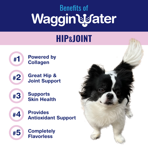 Waggin Water Hip & Joint