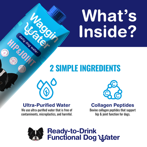 Waggin Water Hip & Joint