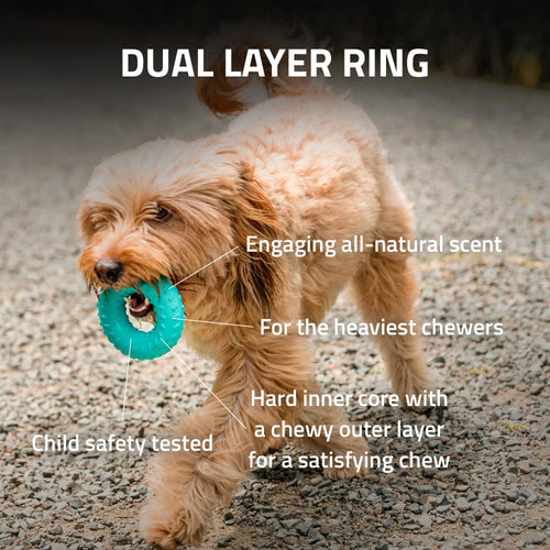 Playology Dual Layer Ring Dog Toy (Chicken Scent, Large)