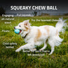 Playology Squeaky Chew Ball Dog Toy (Peanut Butter Extra Large)