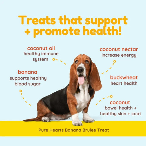 CocoTherapy Pure Hearts Coconut Cookies Banana Brulée - Organic Treat for Dogs (5 oz)