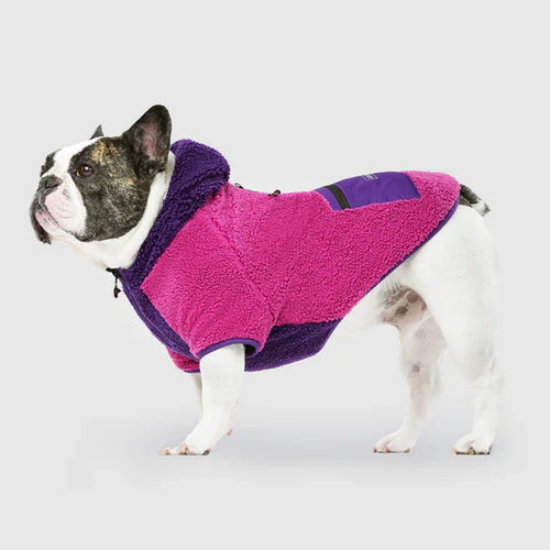 Canada Pooch Cool Factor Hoodie for Dogs