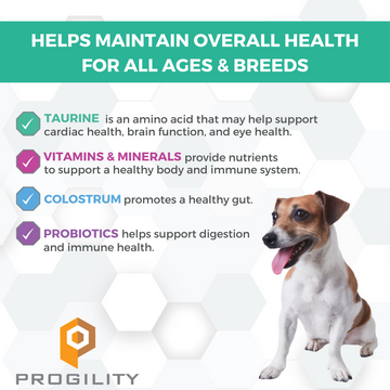 Nootie ProgilityMinis Multivitamin Soft Chew Supplement For Dogs