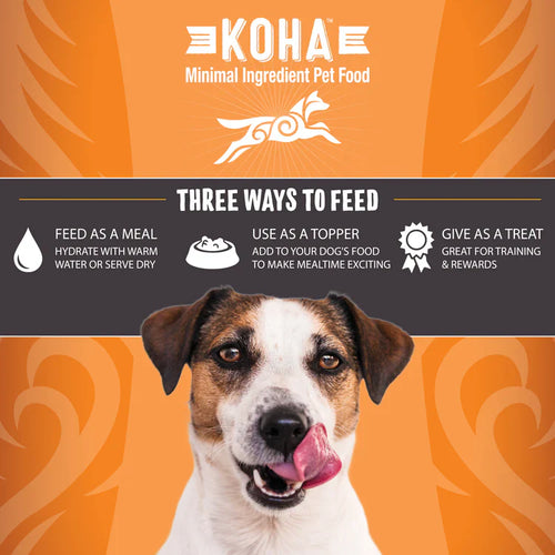 Koha Freeze-Dried Raw Bites Chicken Entrée for Dogs (14 oz)