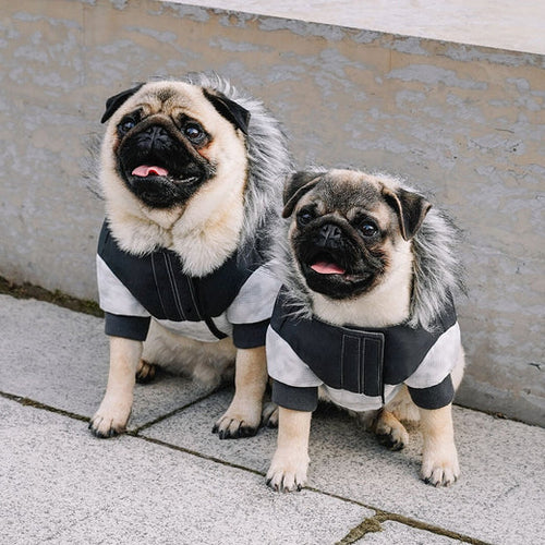 Canada Pooch Eco+ True North Parka Dog Jacket