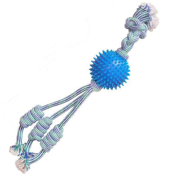 Snugarooz Feel'N Spikey Dog Toy (23