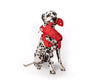 Fabdog Floppy Lobster Dog Toy