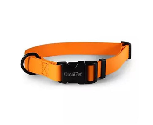 Omnipet Carnival Biothane Dog Collar