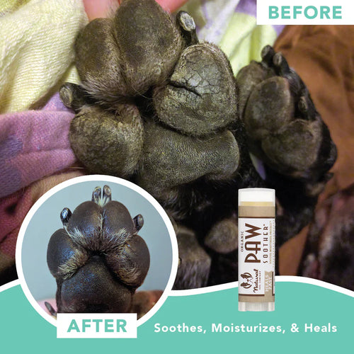 Natural Dog Company Paw Soother® Travel Stick