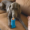 Kong Treatster Dog Toy (Large)