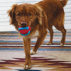 KONG Jaxx Brights Ball W/Rope Assorted Dog Toys