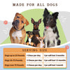 Natural Dog Company Super-Flora Probiotic Supplement (90 Soft Chews)