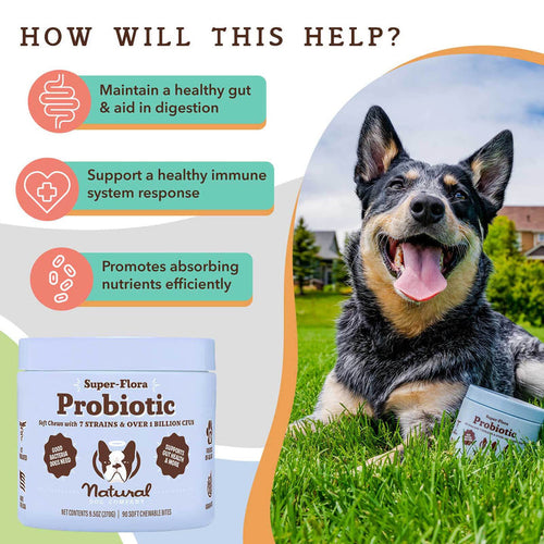 Natural Dog Company Super-Flora Probiotic Supplement (90 Soft Chews)