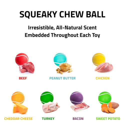 Playology Squeaky Chew Ball Dog Toy (Peanut Butter Extra Large)