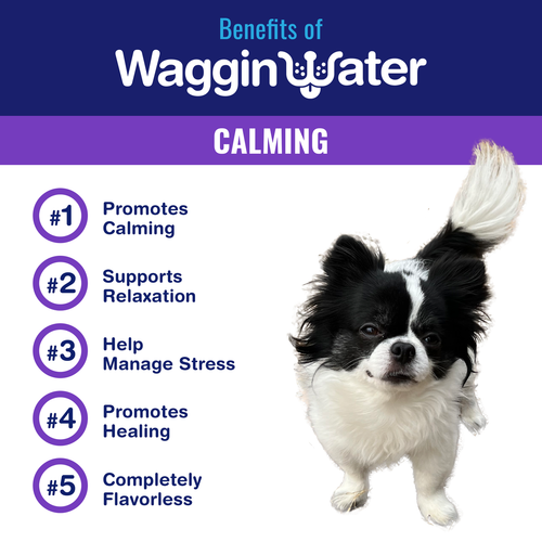Waggin Water CALMING