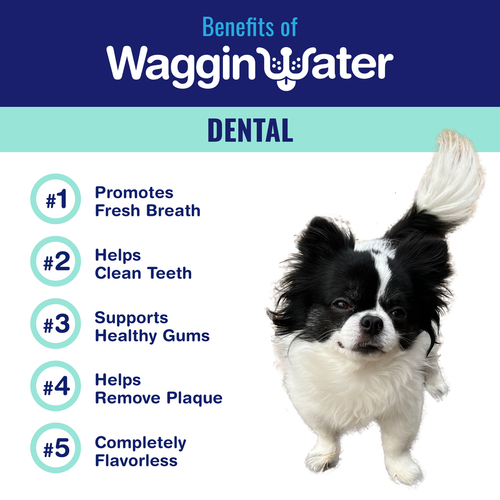 Waggin Water DENTAL