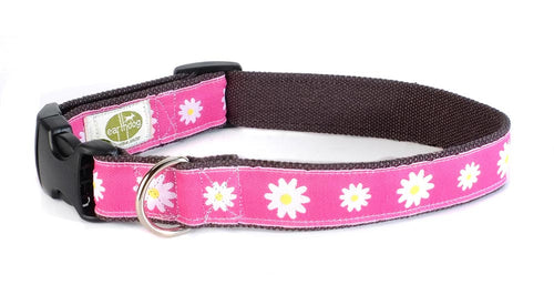EarthDog Adjustable Dog Collar