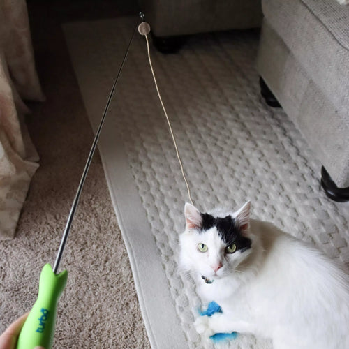 Coastal Pet Products Turbo Telescoping Wand with LED Pointer Cat Toy