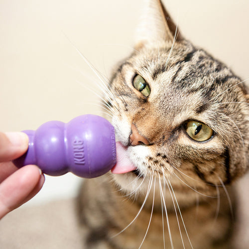 Kong Kitty Kong Treat Dispensing Cat Toy