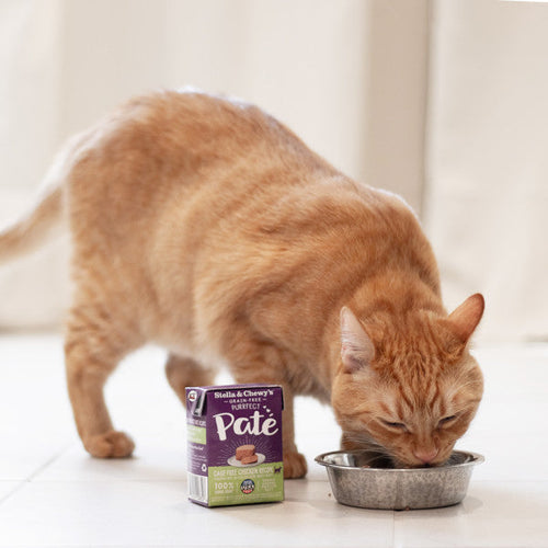 Stella & Chewy's Purrfect Pate Cage Free Turkey Recipe Wet Cat Food