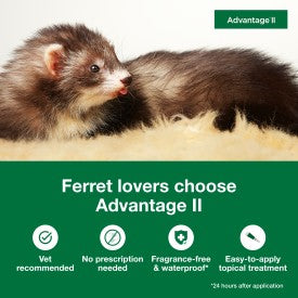 Advantage II Ferret Flea Treatment & Prevention