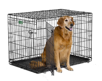 Midwest iCrate 1542DD Double Door Folding Dog Crate (42 x 28 x 30