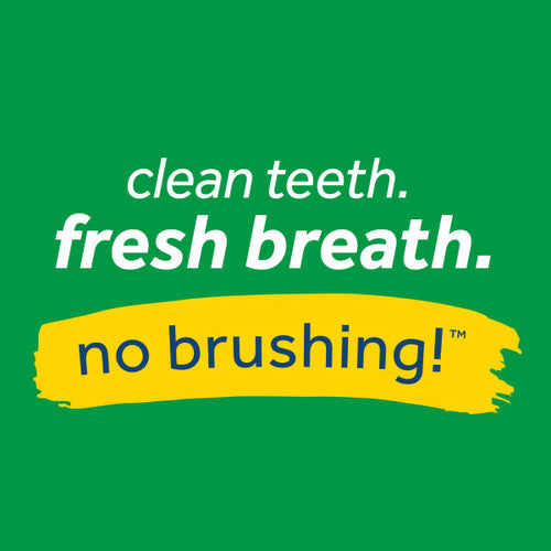 TropiClean Fresh Breath Dental Health Solution Supports Skin Health for Dogs