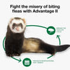 Advantage II Ferret Flea Treatment & Prevention