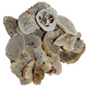 Icelandic+ Lamb Marrow Chips Dog Treat