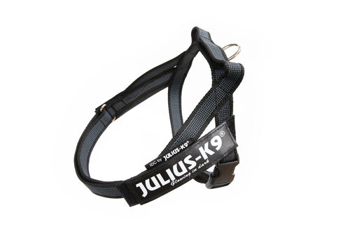 Julius-K9 IDC® Color & Gray® Belt Harness