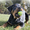 KONG Wavz Ball