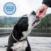 Natural Balance Limited Ingredient Diets Mini Jumpin Stix Venison & Sweet Potato Formula with Glucosamine & Chondroitin Dog Treats