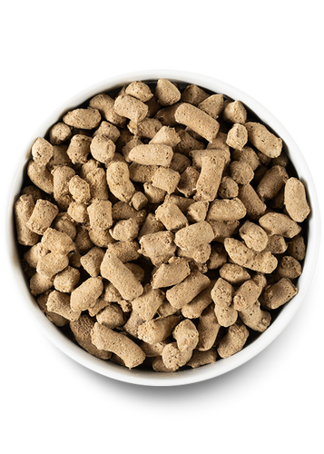 Open Farm Grass-Fed Beef Freeze Dried Raw Dog Food
