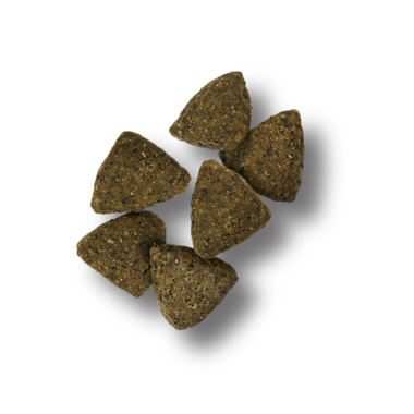 Purina Animal Nutrition Pro Plan Sensitive Skin & Stomach Turkey & Oatmeal Dry Dog Food