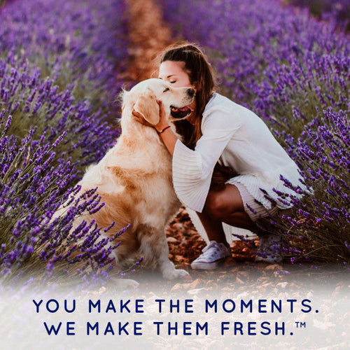 SPA by TropiClean Lavish Renew Cologne Spray for Pets