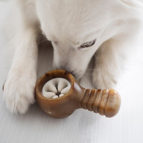 Benebone Chicken Pawplexer