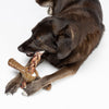 Benebone Chicken Pawplexer