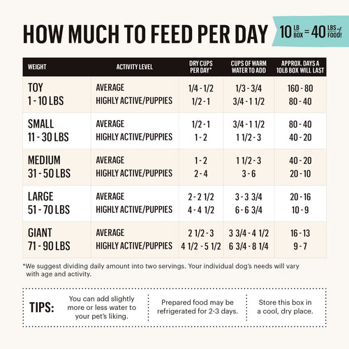 The Honest Kitchen Dehydrated Grain Free Turkey Dog Food